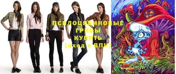 PSILOCYBIN Балабаново